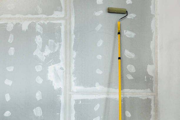 Best Water-Damaged Drywall Repair  in USA